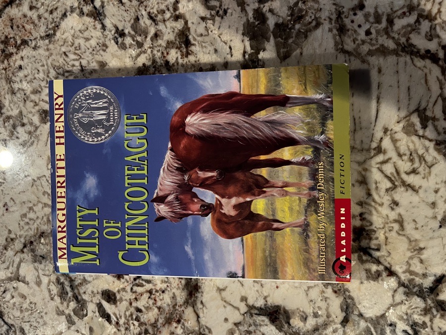 Vintage Misty of Chincoteague