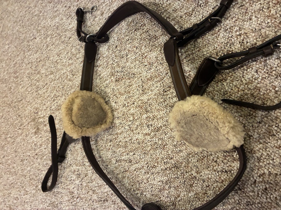 HENRI DE RIVEL 5 point breastplate
