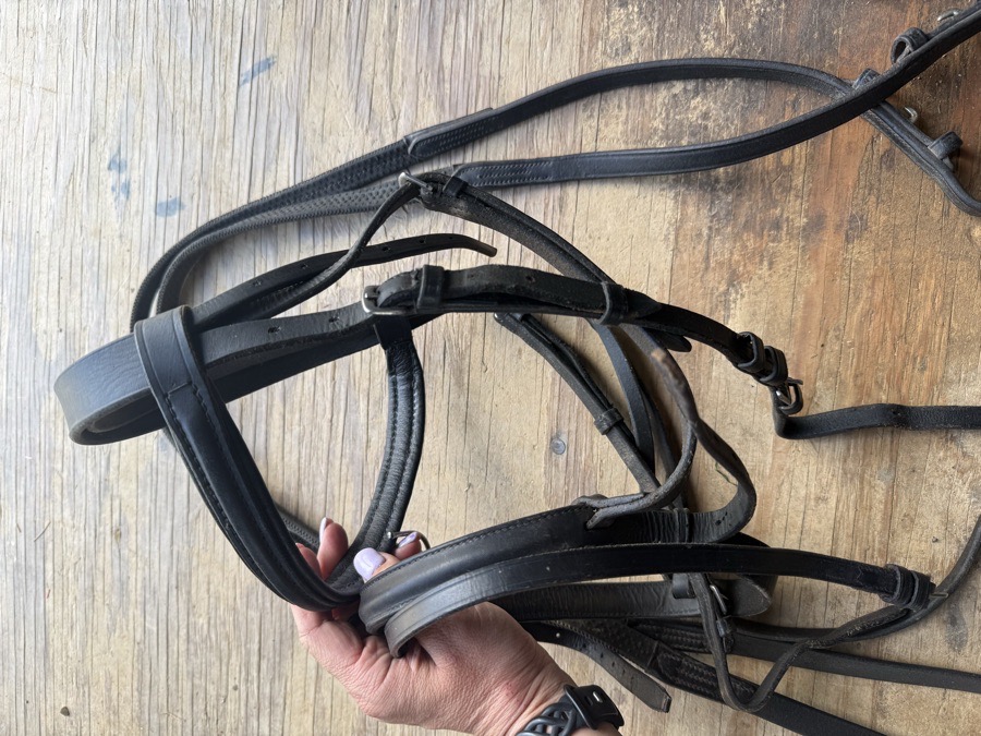 Black flash bridle, full sized