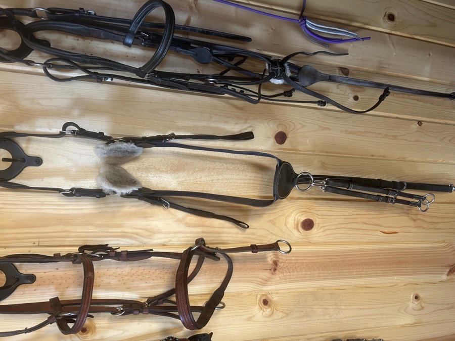 3 Point Breastplate with martingale 