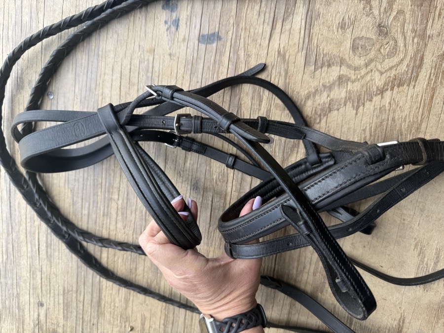 Black cob flash bridle