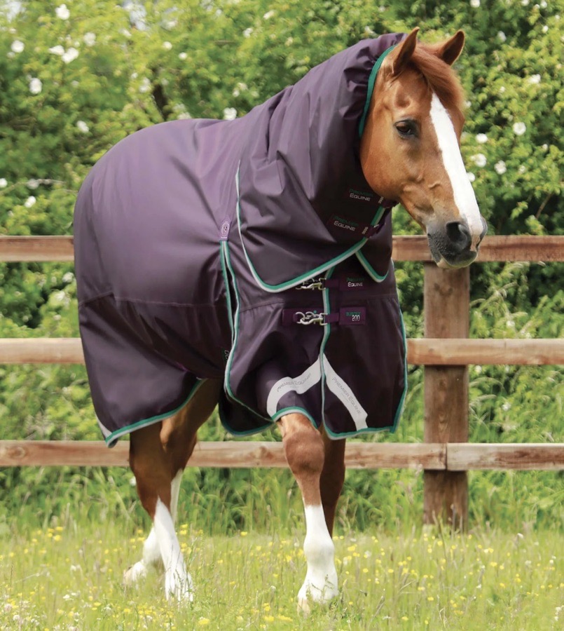 Premier Equine 200g horse blanket