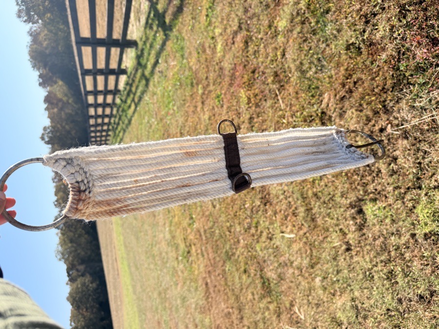 Western pony cinch