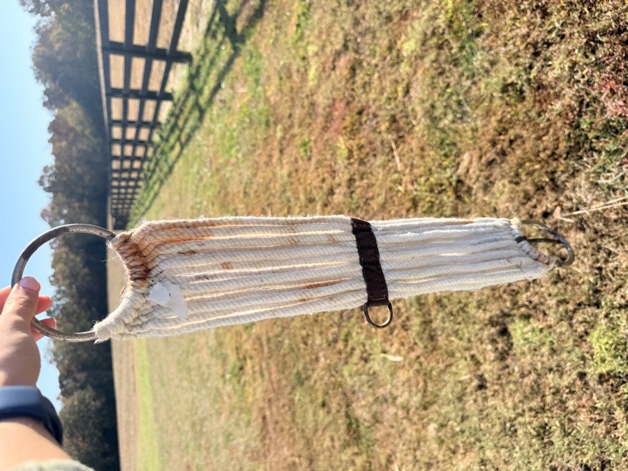 Western pony cinch