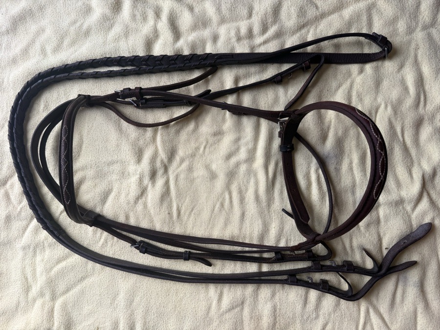 horse sized fancy stitch bridle and reins
