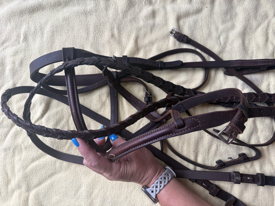 horse sized fancy stitch bridle and reins