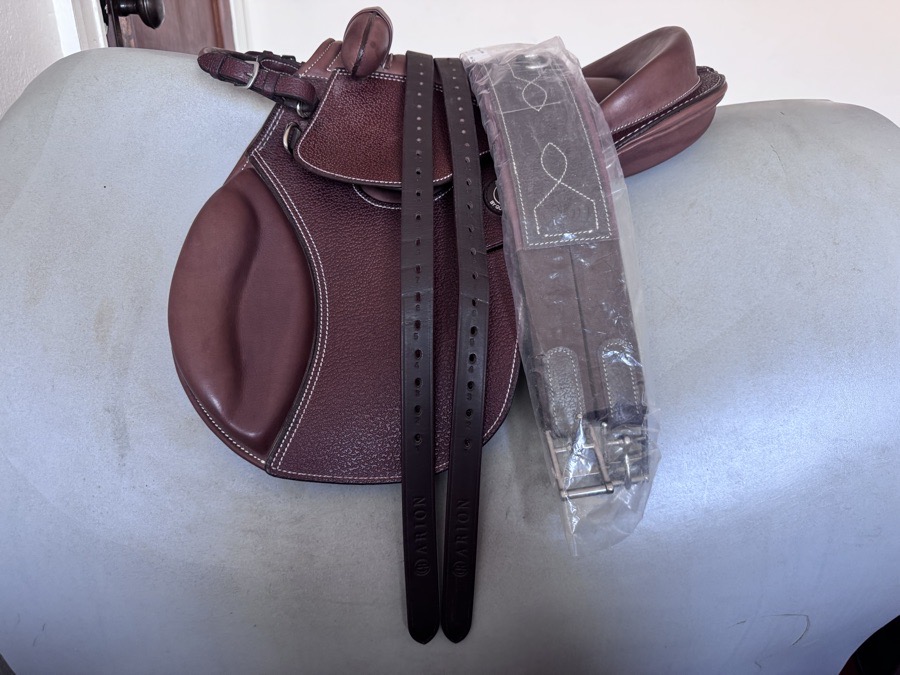 BRAND NEW 12” Arion Leadline Saddle w/NEW Arion fittings - RARE!