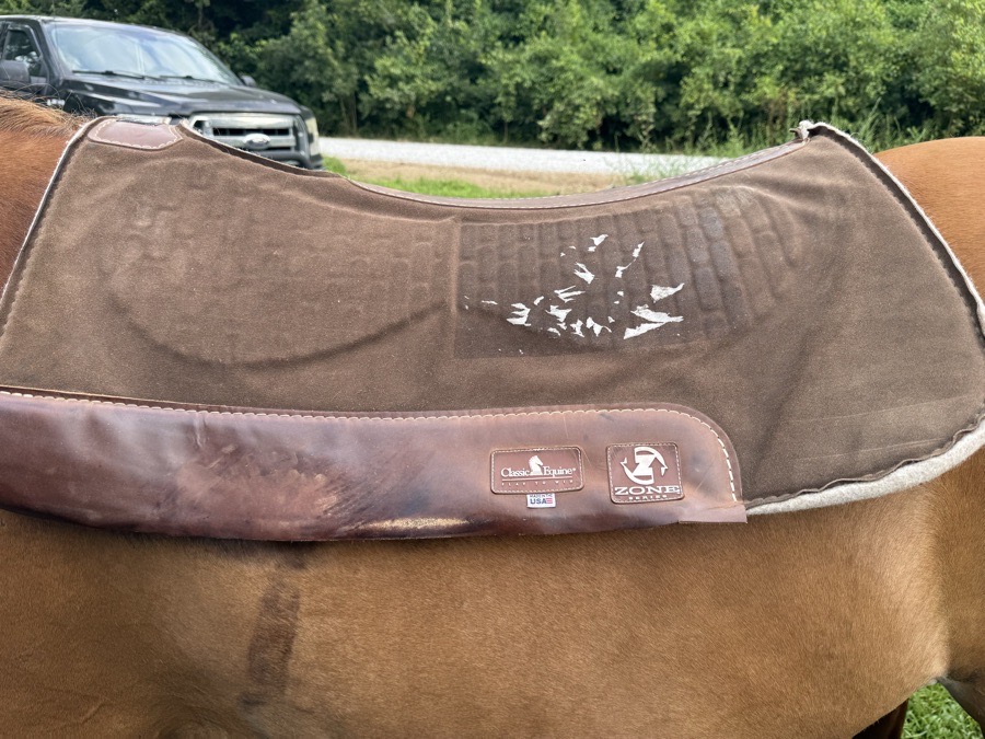 Classic Equine Zone Series Saddle Pad 