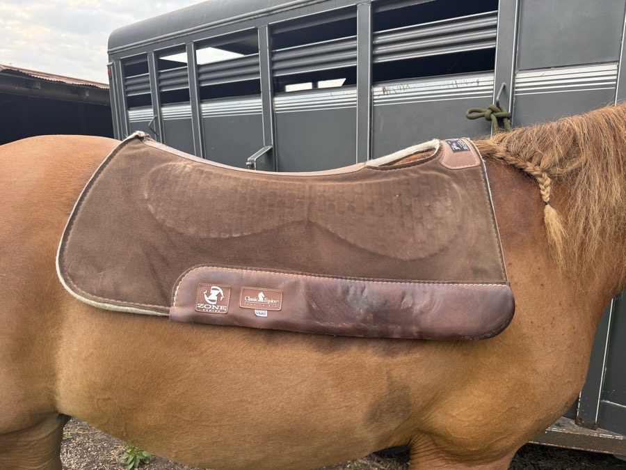 Classic Equine Zone Series Saddle Pad 