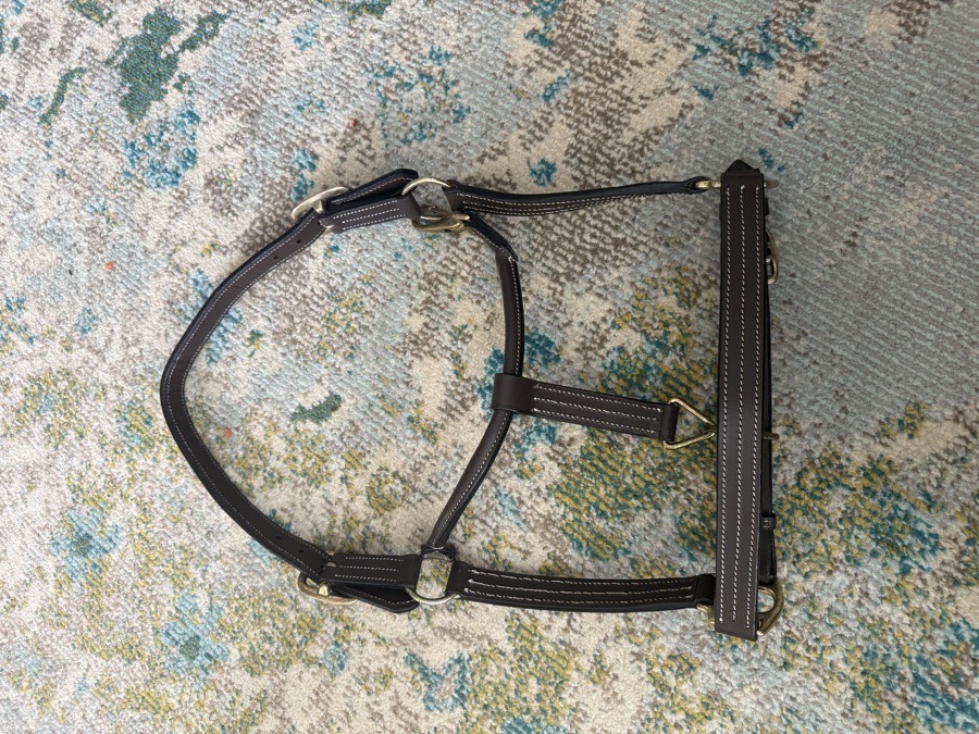 New leather halter 