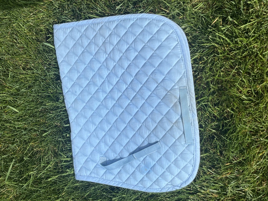 Light blue dover pony pad