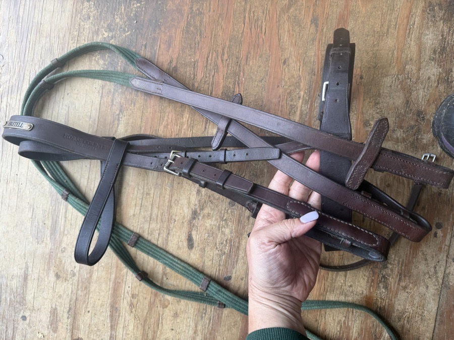 Full sized hunt bridle and reins