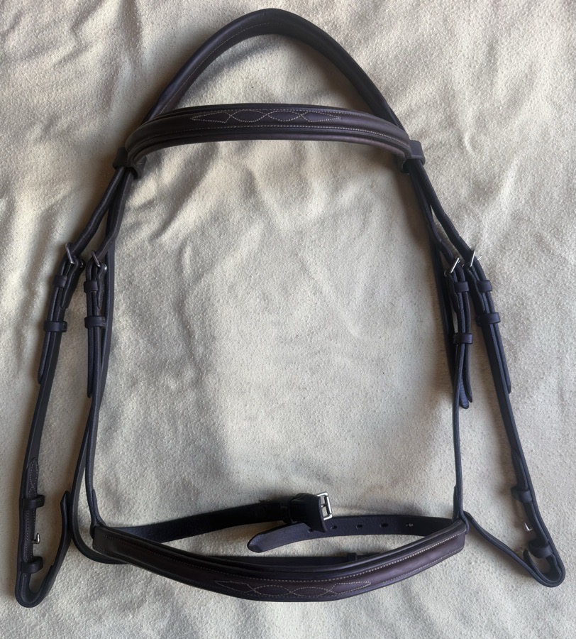 ADT - ARC DE TRIOMPHE horse sized fancy stitch bridle