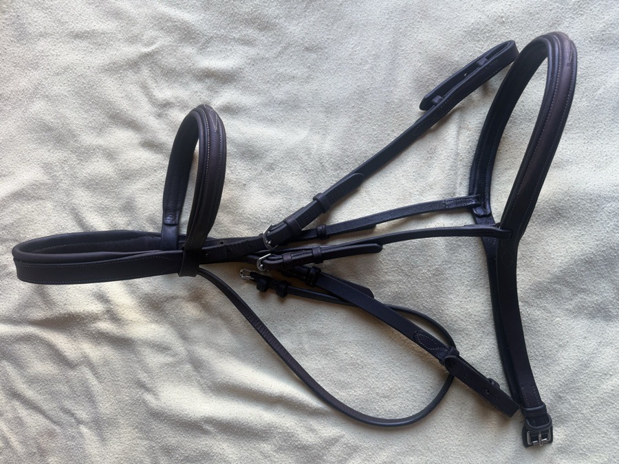ADT - ARC DE TRIOMPHE horse sized fancy stitch bridle