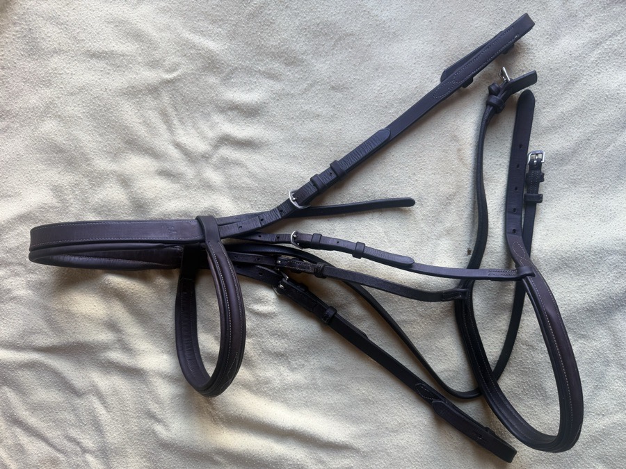 ADT - ARC DE TRIOMPHE horse sized fancy stitch bridle