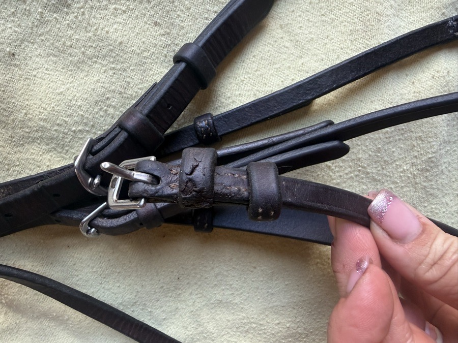 ADT - ARC DE TRIOMPHE horse sized fancy stitch bridle