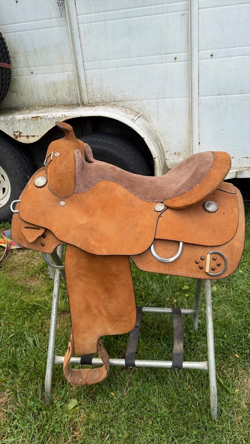SADDLE KING | 17" | 8" Tree Size