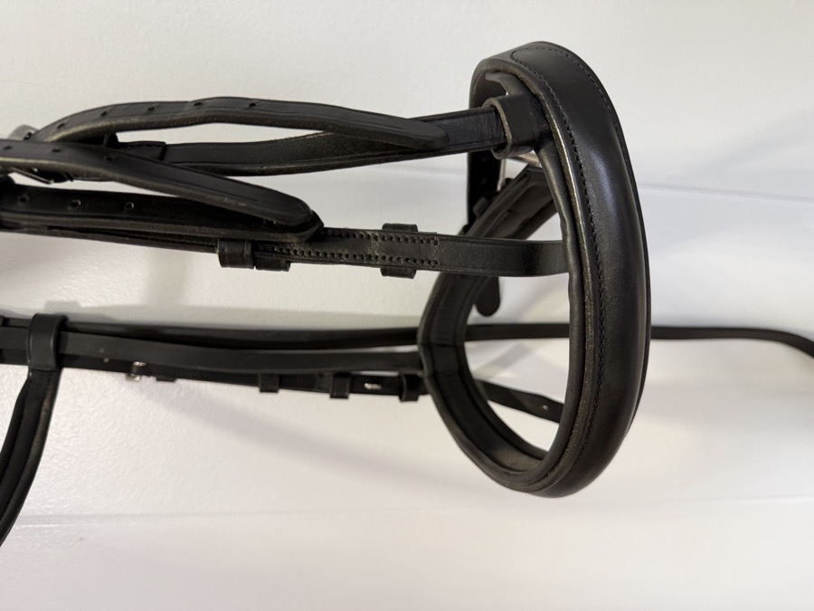 Collegiate Pony Bridle Black - NEW
