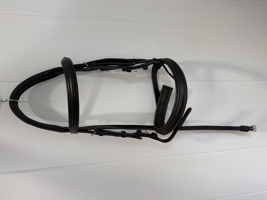 Collegiate Pony Bridle Black - NEW