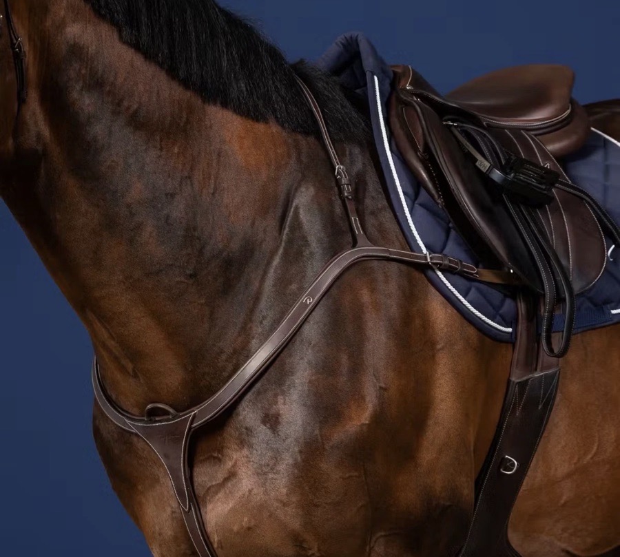 Dyon Anatomic Breastplate 3 Point Long Bridge Brown Gold Cob