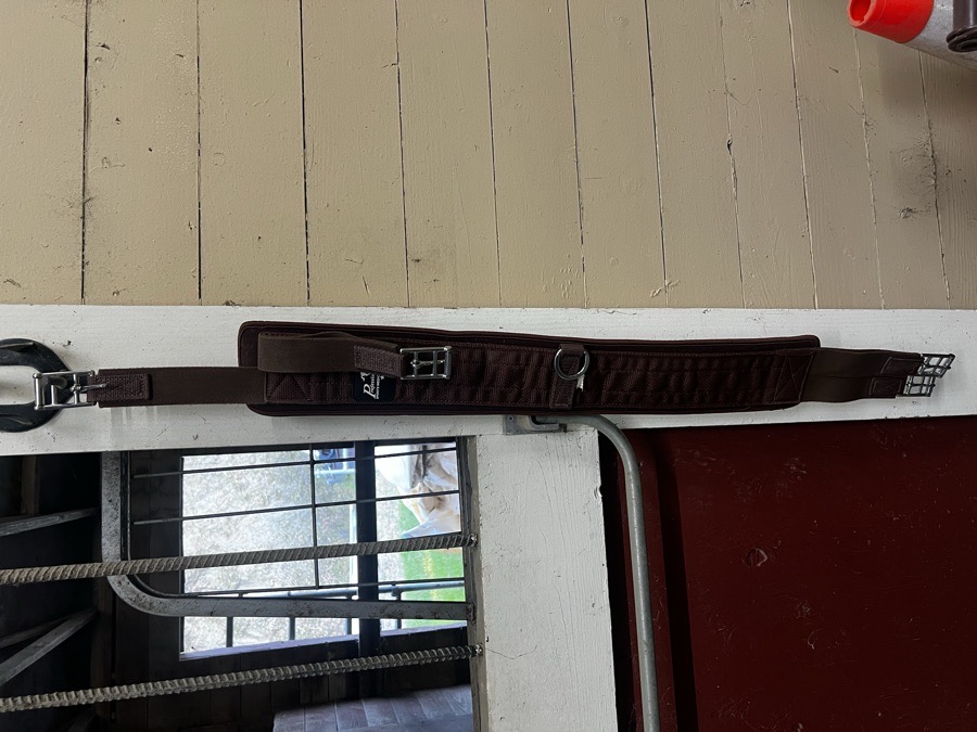 Prof Choice girth 44