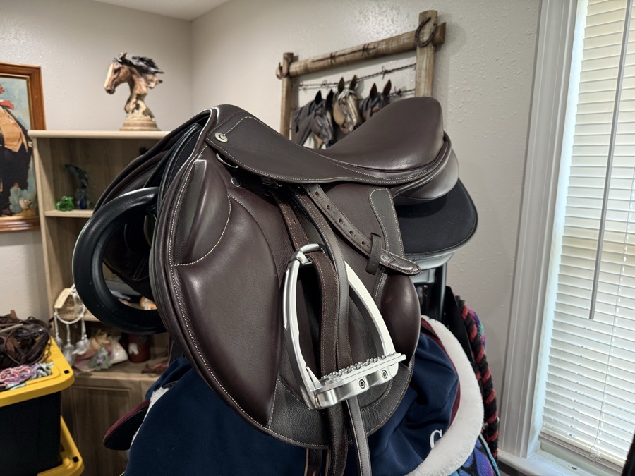 Collegiate Degree Mono Event Saddle (Adjustable)