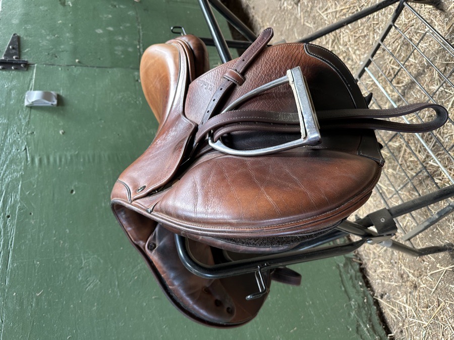 16.5” M. Toulouse Close Contact