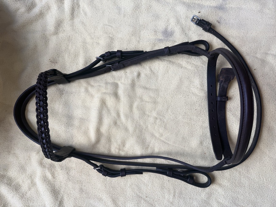 BEVAL cob Bridle