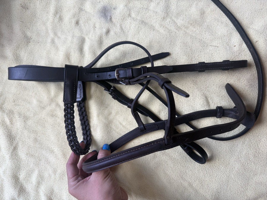 BEVAL cob Bridle