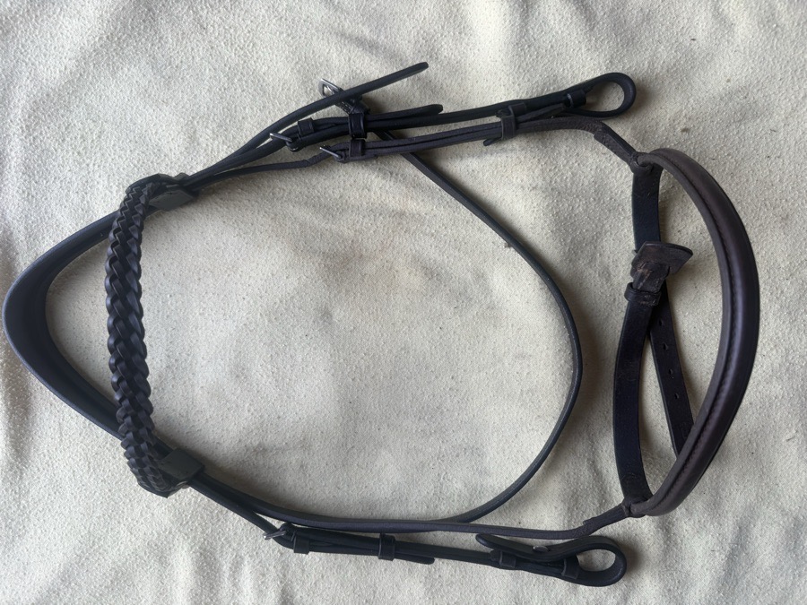 BEVAL cob Bridle