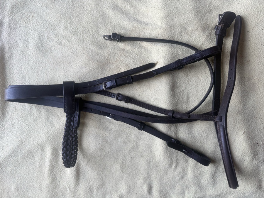BEVAL cob Bridle