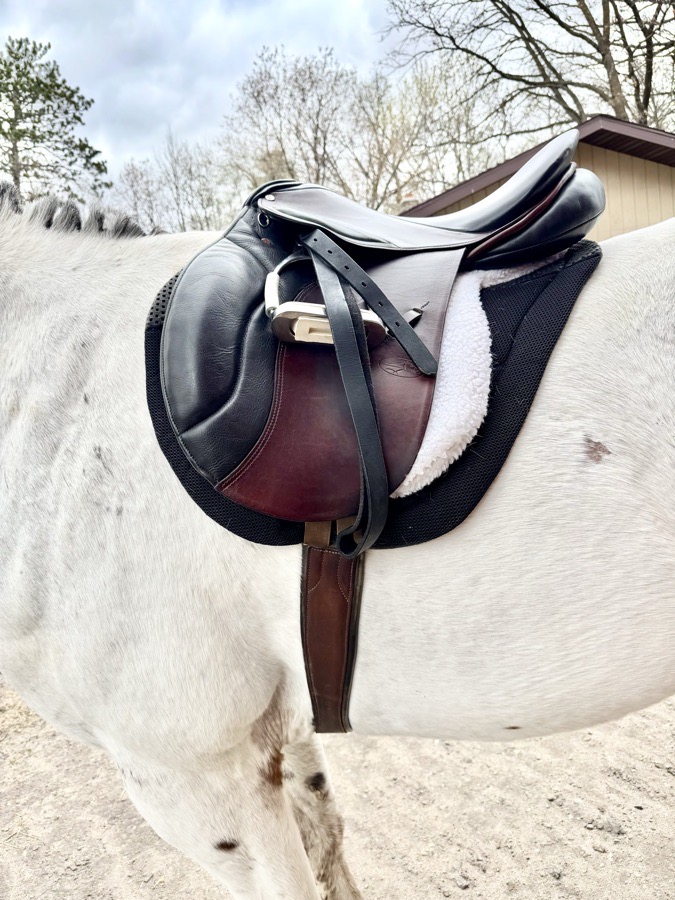 COURBETTE | 19" | 6" Tree Size