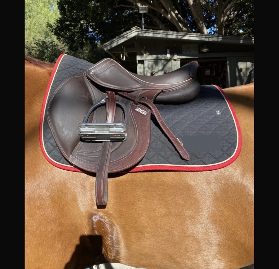 CWD Mademoiselle | 16.5" 1C | 4.5" Tree Size | 2020