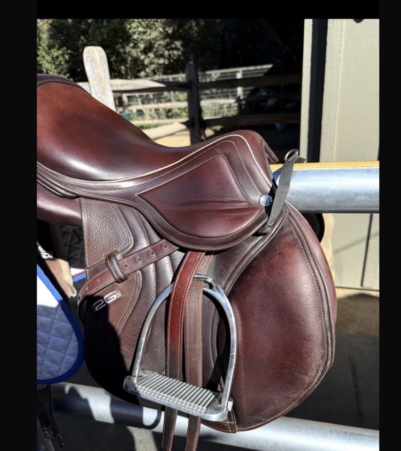 CWD Mademoiselle | 16.5" 1C | 4.5" Tree Size | 2020