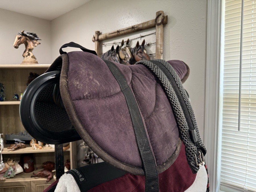 Best Friends Bareback Pad