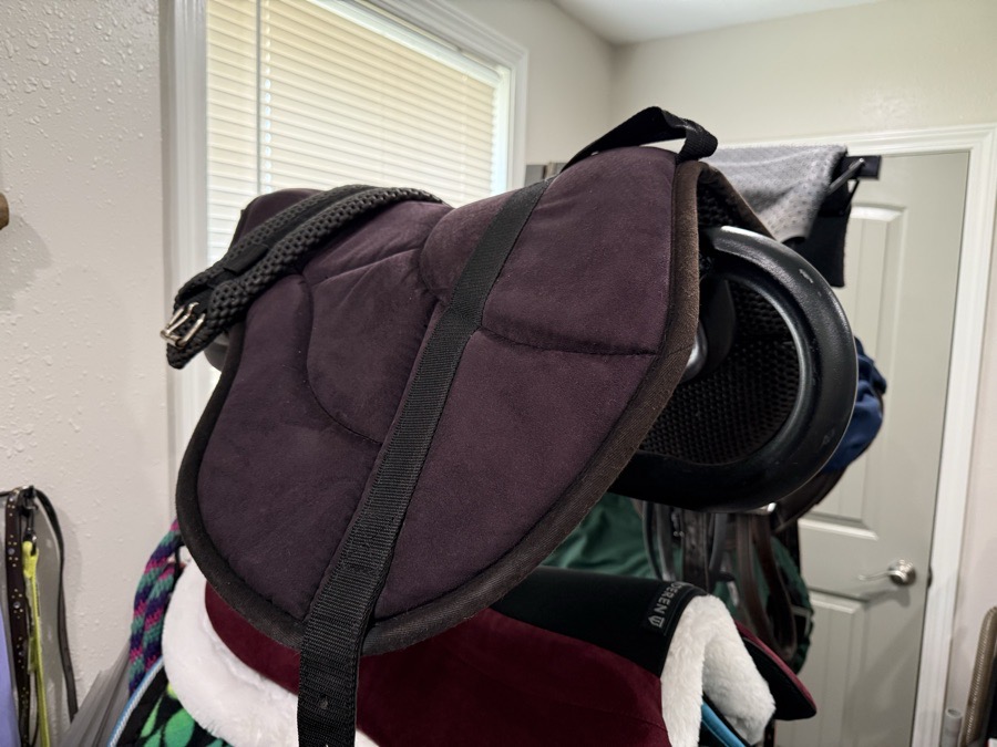 Best Friends Bareback Pad