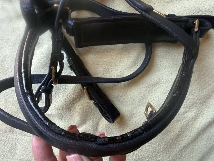 Oversized black bridle with brass hardware