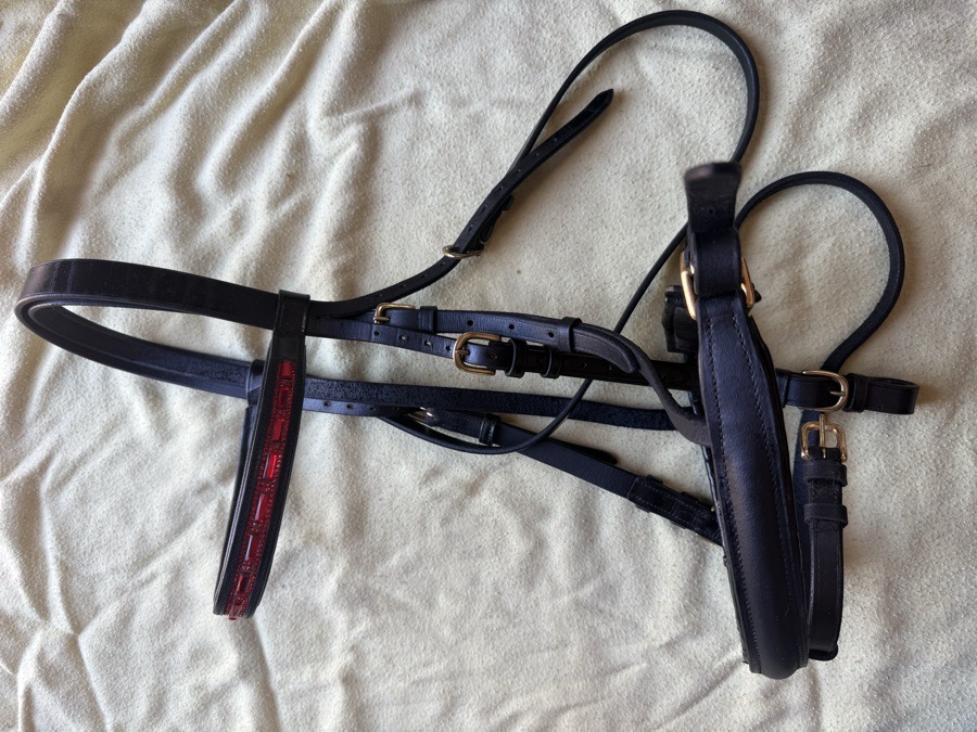 Oversized black bridle with brass hardware