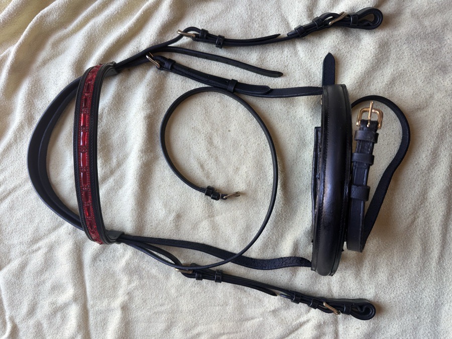Oversized black bridle with brass hardware