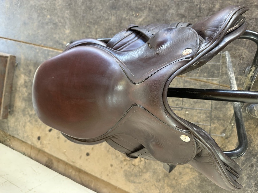 CWD SE10 | 15.5" 2K | 4.75" Tree Size | 2019