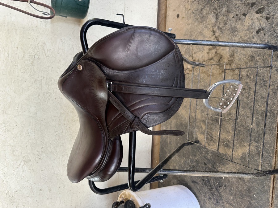 CWD SE10 | 15.5" 2K | 4.75" Tree Size | 2019