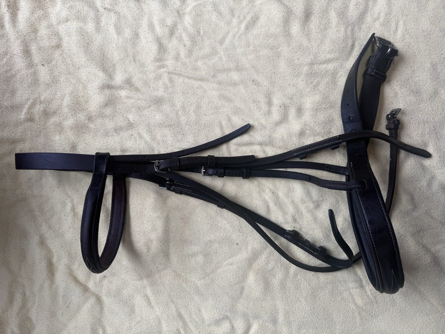 wide noseband fancy stitch bridle