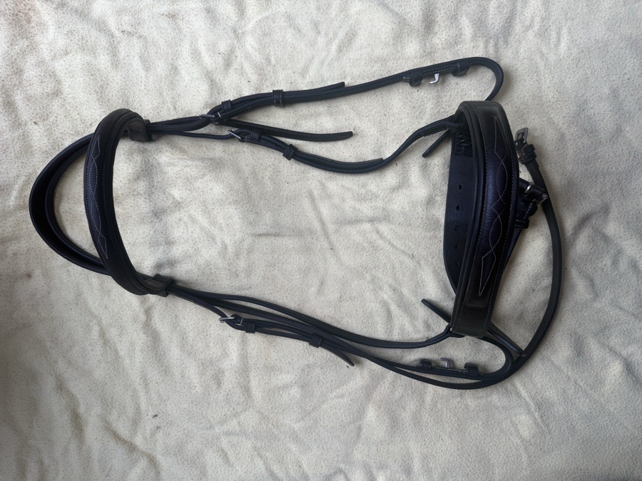 wide noseband fancy stitch bridle