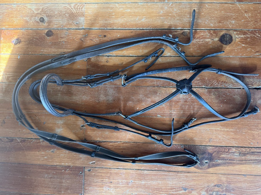 Fancy stitch figure 8 bridle and reins 