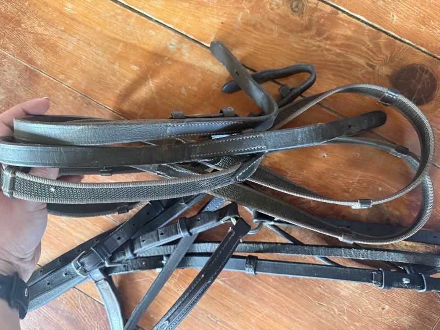 Fancy stitch figure 8 bridle and reins 