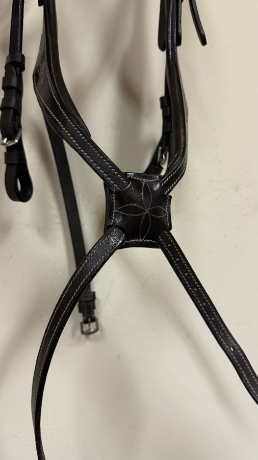 Amor Equestiran figure eight cob bridle