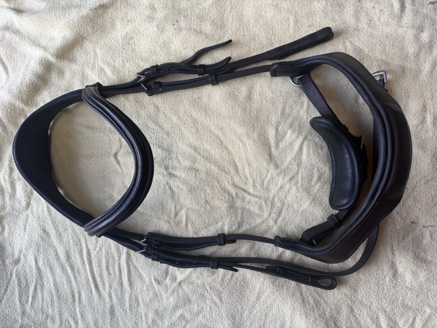Red Barn Arena Ergonomic bridle