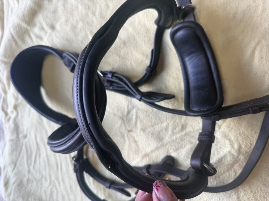 Red Barn Arena Ergonomic bridle