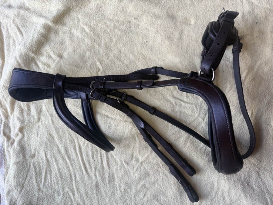 Red Barn Arena Ergonomic bridle