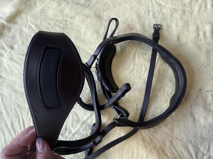 Red Barn Arena Ergonomic bridle